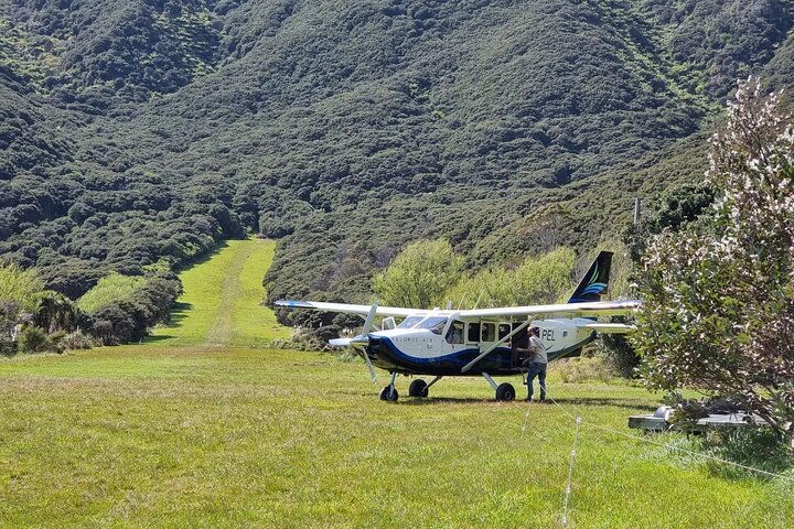 Flight Experience our Water and Wilderness Scenic Tour - Photo 1 of 17